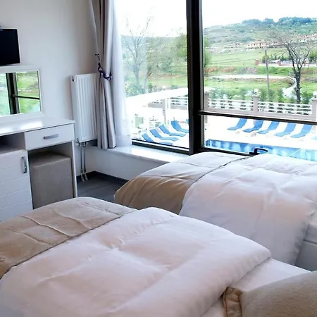 Hotel Bodega *